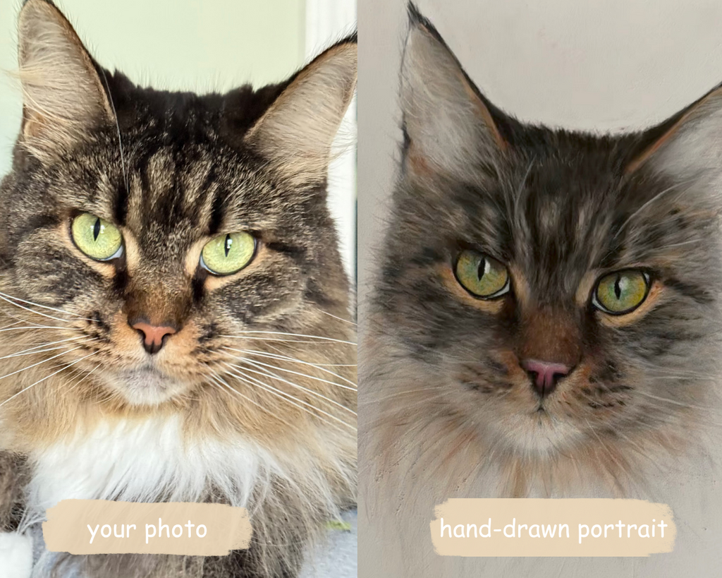Custom hand-drawn pastel pet portrait  9.5” x 7” created from your photo