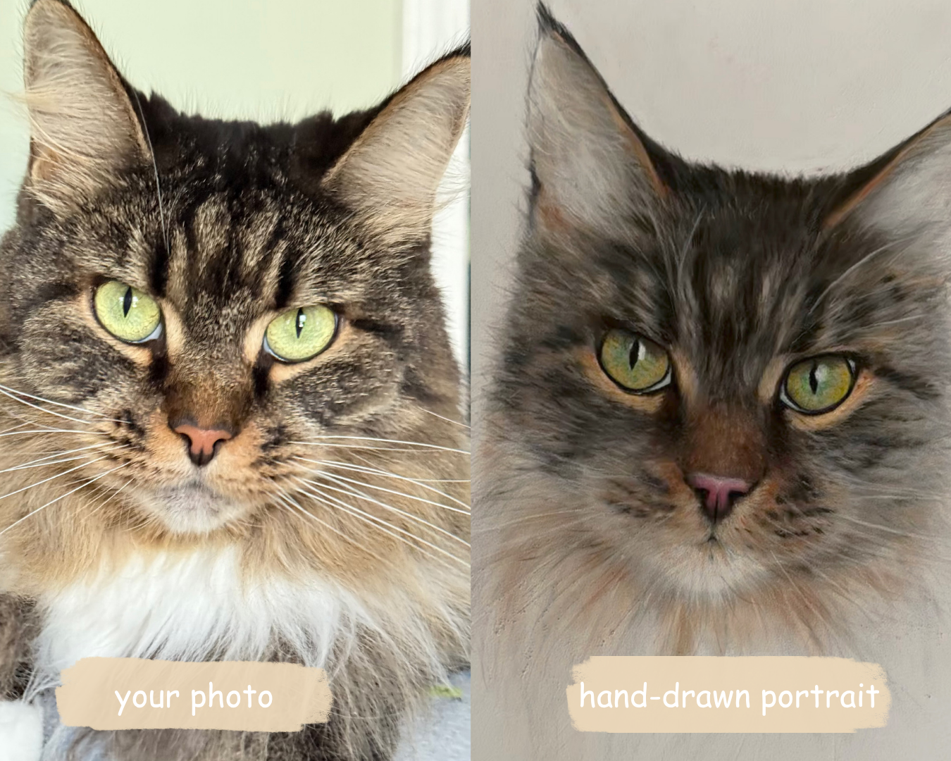 Custom hand-drawn pastel pet portrait  9.5” x 7” created from your photo
