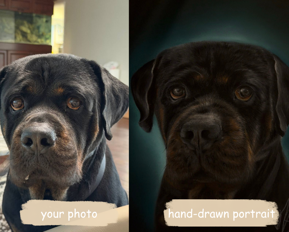 Hand-Drawn Framed Pastel Pet Portrait 15.5” x 12” with Museum Glass
