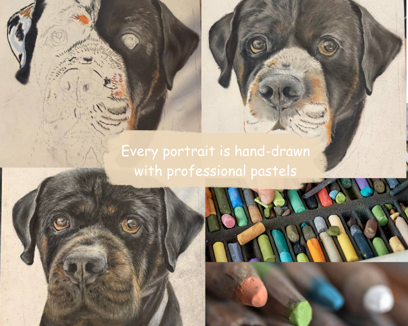 Hand-Drawn Framed Pastel Pet Portrait 15.5” x 12” with Museum Glass